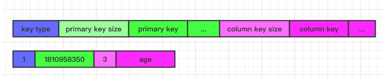 LaserDB Key 格式