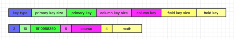 LaserDB Value Map 格式